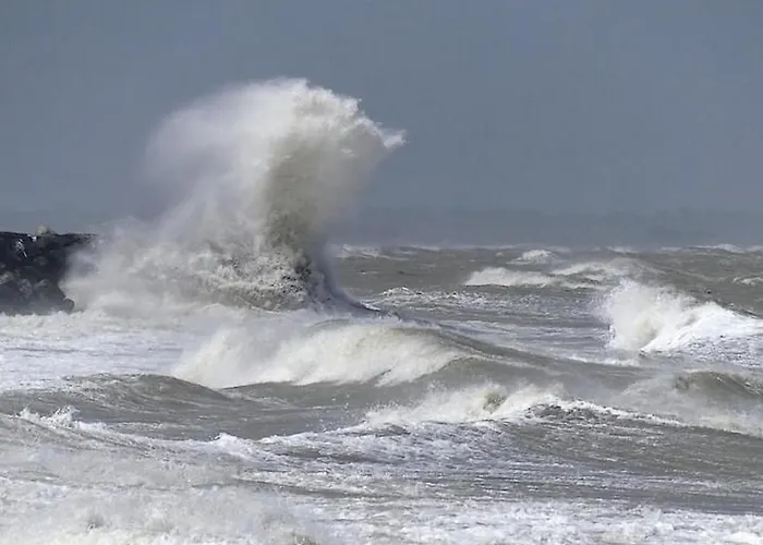 Дом отдыха Le Tilburg